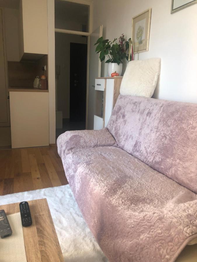 Apartment Ura Rijeka Extérieur photo
