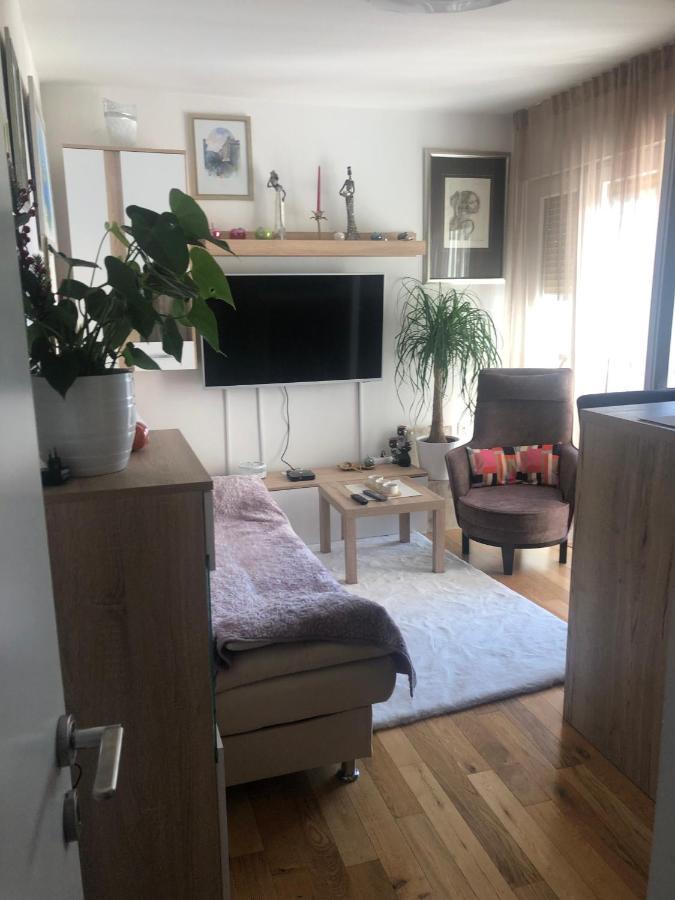 Apartment Ura Rijeka Extérieur photo